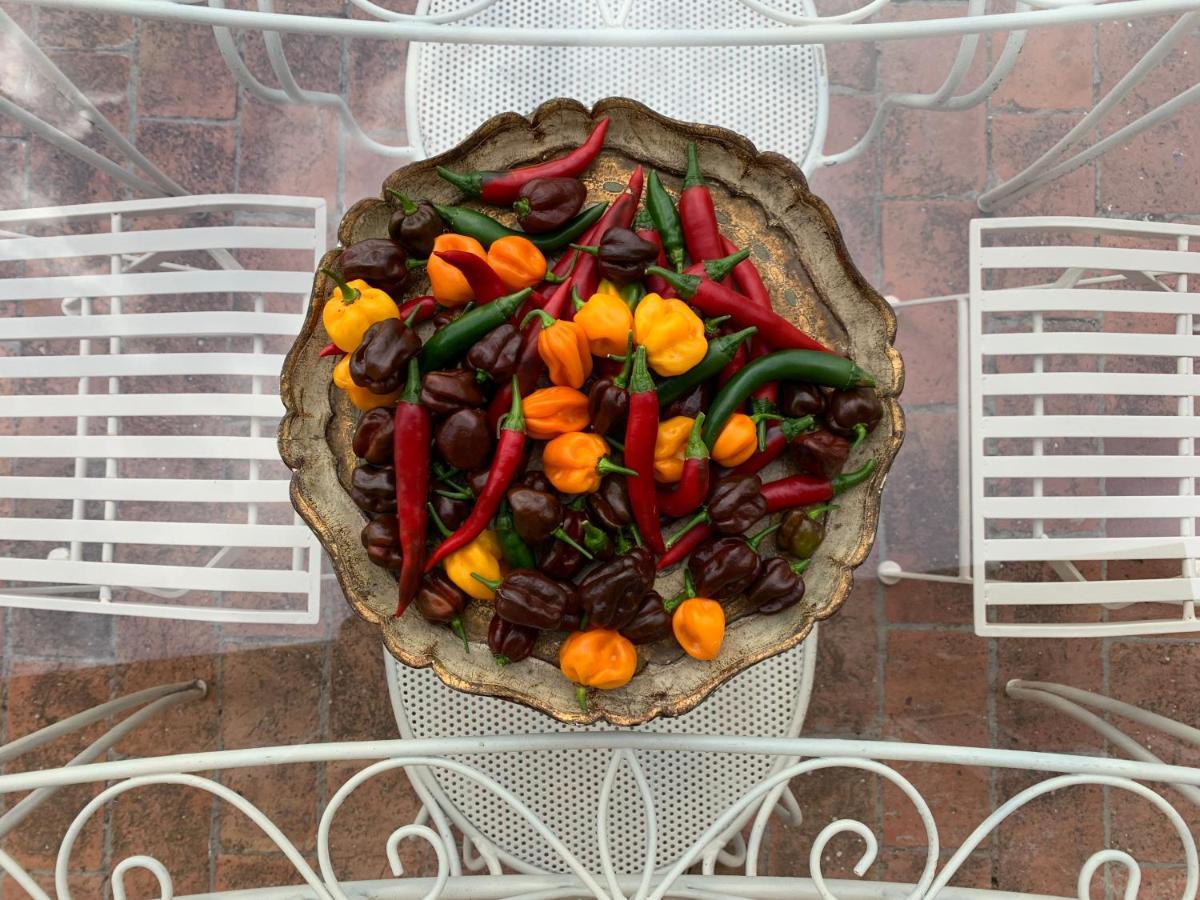 Casa Cerboneschi Bed & Breakfast Casale Marittimo Ngoại thất bức ảnh